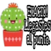 Cactus LOVERS 10