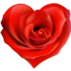 Flores 2 12