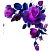 Flores 2 13