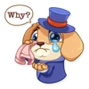 Mr. Pup 14