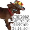 Perritos 13