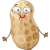 Peanut 18