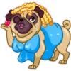 Dogs 16