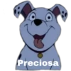 Dalmatas 6