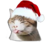 Memes Navideños  5 16