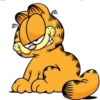 Garfield 13