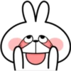 Rabbit 11