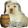 perritos 11