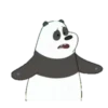 Panda 1 8