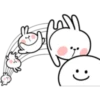 Rabbit 12