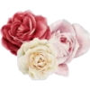 Flores 2 15