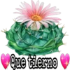 Cactus LOVERS 12