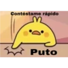 Contéstame rápido
Puto