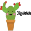 Cactus LOVERS 13