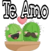 Cactus LOVERS 14