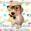 Perritos 18