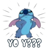 YO Y???