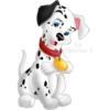 Dalmatas 7
