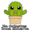 Cactus LOVERS 16