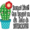 Cactus LOVERS 17