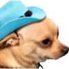 Perritos 19