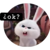 iok?