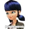 LadyBug 9