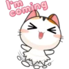 Funny Cats 2 18