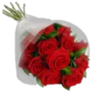 Rose Day 20