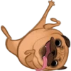 Dogs 19