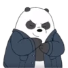 Panda 1 11