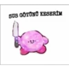 SUS GÖTÜNÜ KESERİM