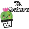 Cactus LOVERS 19
