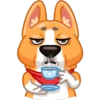 Dogs 20