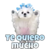 Perritos 20