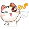 Funny Cats 2 20