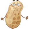 Peanut 24