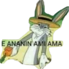 E ANANIN AMI AMA
