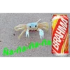 BRAHMA
Chopp