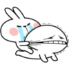 Rabbit 17