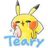 Pokemon Team Rascal 1-2 12