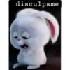 disculpame