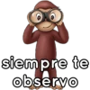 siempre te
observo