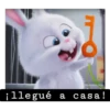 illegué a casa!