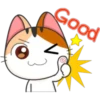 Funny Cats 2 21