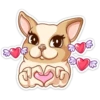 Dogs 21