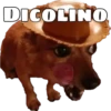 Perritos 22