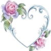 Rose Day 25