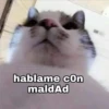 Dame un beso con malda 8