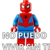 80
NO PUEDO
VIVIR SIN TI